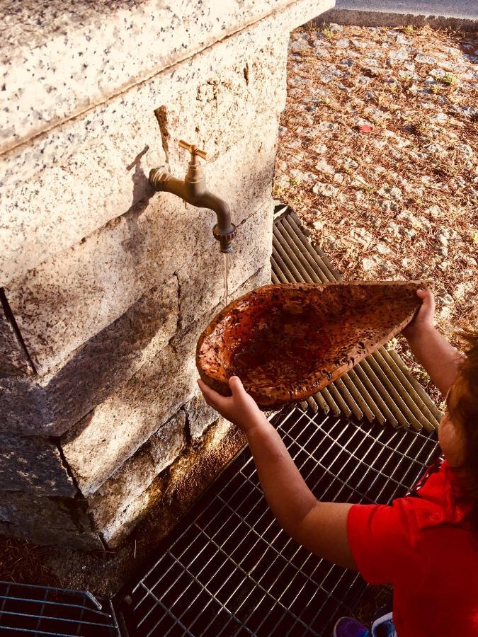 La Vecchia Posta B&B Calangianus Exteriér fotografie