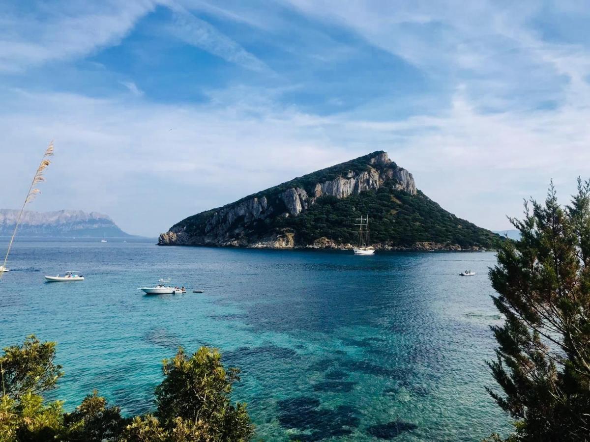 La Vecchia Posta B&B Calangianus Exteriér fotografie